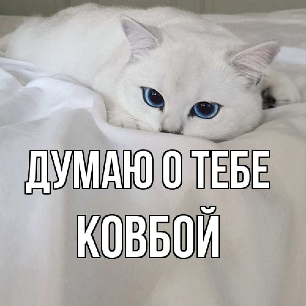 Открытка на каждый день с именем, Ковбой Думаю о тебе я очень по тебе скучаю и тоскую Прикольная открытка с пожеланием онлайн скачать бесплатно 