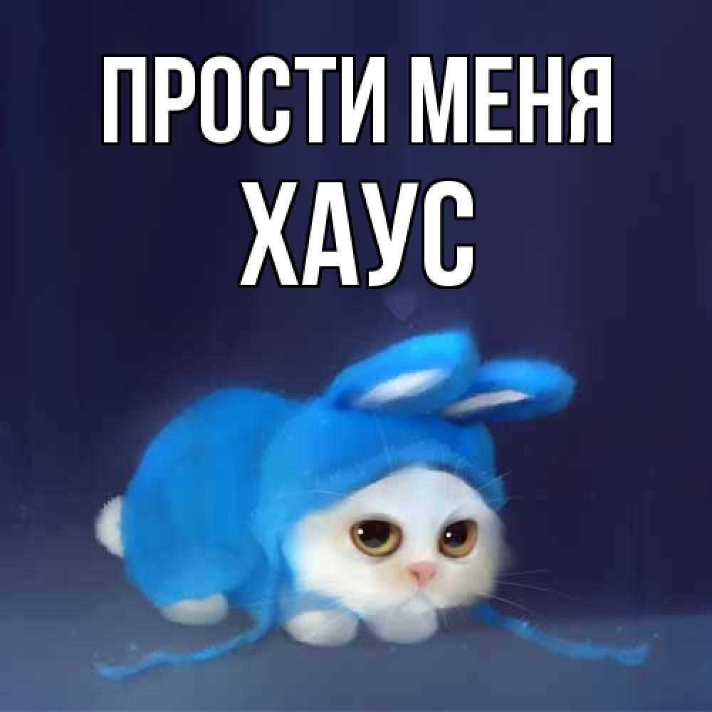 Открытка на каждый день с именем, Хаус Прости меня невинный котозай просит прощения Прикольная открытка с пожеланием онлайн скачать бесплатно 