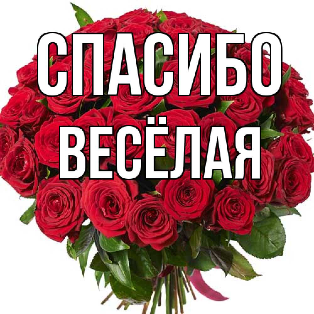 Открытка на каждый день с именем, Весёлая Спасибо букет красных роз Прикольная открытка с пожеланием онлайн скачать бесплатно 