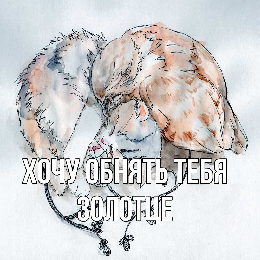 Открытка на каждый день с именем, Золотце Хочу обнять тебя можно быть вместе даже когда очень разные Прикольная открытка с пожеланием онлайн скачать бесплатно 