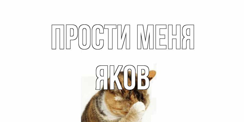 Открытка на каждый день с именем, Яков Прости меня кот Прикольная открытка с пожеланием онлайн скачать бесплатно 