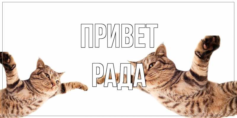 Картинка Привет, Рада