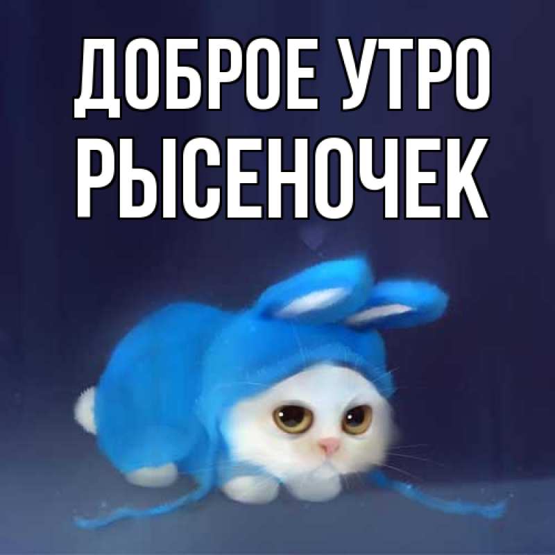 Картинка Доброе утро, Рысеночек