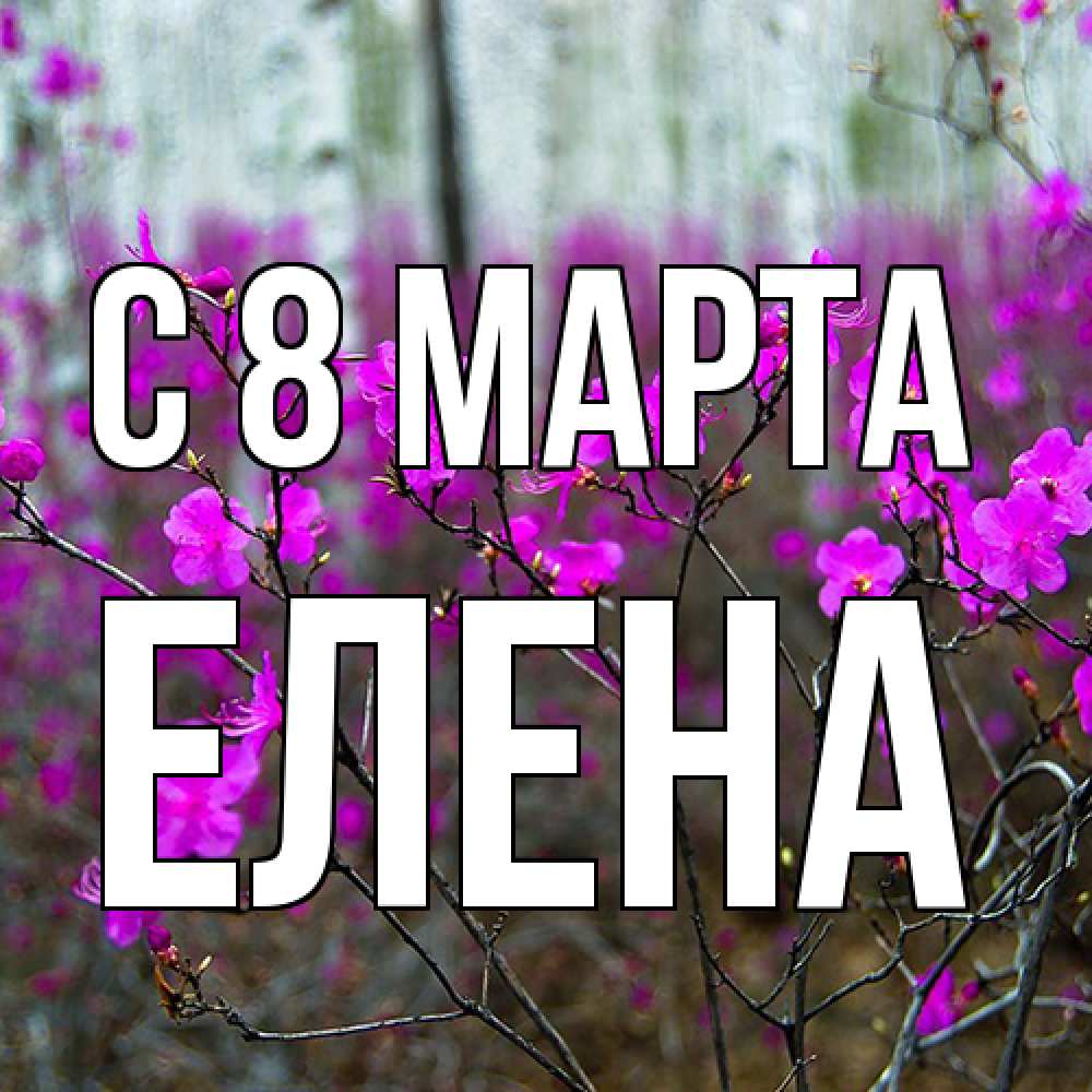 Открытка на каждый день с именем, Елена C 8 МАРТА дикие цветы Прикольная открытка с пожеланием онлайн скачать бесплатно 