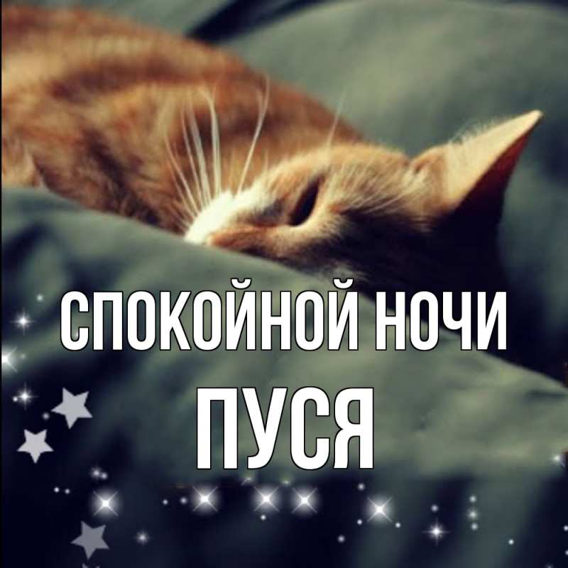 Открытка с именем, Пуся, Спокойной ночи