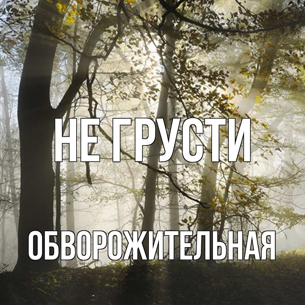 Открытка на каждый день с именем, Обвоpожительная Не грусти лес и свет Прикольная открытка с пожеланием онлайн скачать бесплатно 