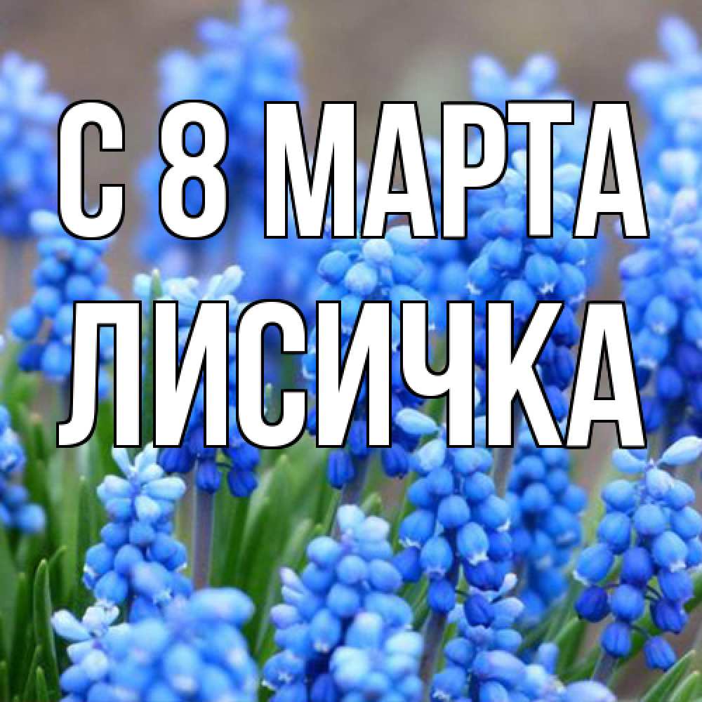 Открытка на каждый день с именем, Лисичка C 8 МАРТА Поздравительная открытка для женщин с цветами на праздничную дату Прикольная открытка с пожеланием онлайн скачать бесплатно 