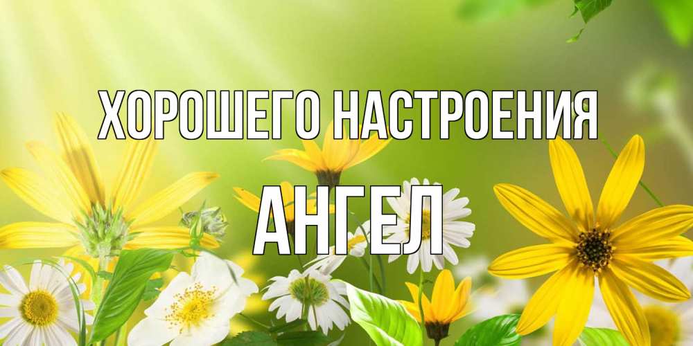 Открытка на каждый день с именем, Ангел Хорошего настроения цветы Прикольная открытка с пожеланием онлайн скачать бесплатно 