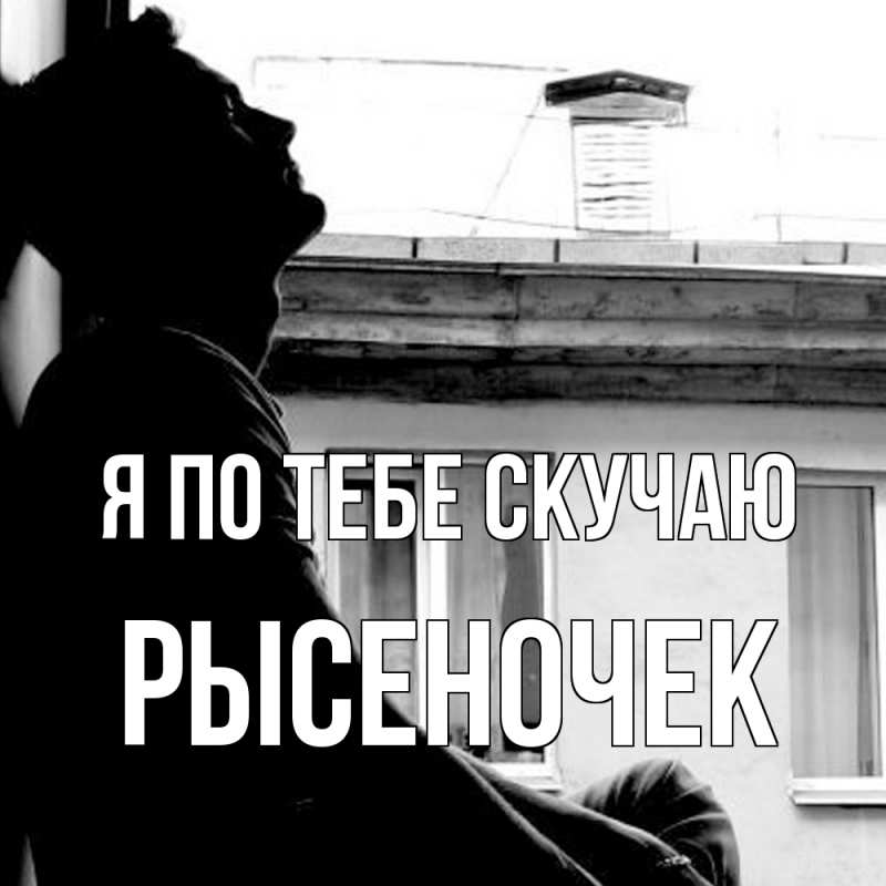 Картинка Я по тебе скучаю, Рысеночек