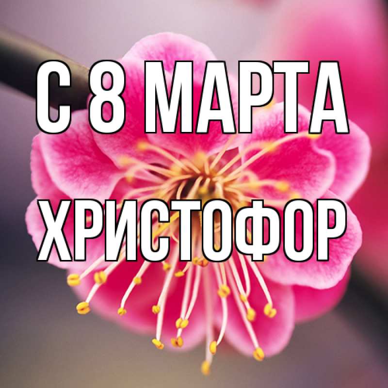 Картинка C 8 МАРТА, Христофор
