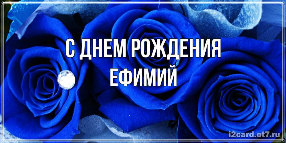 Открытка на каждый день с именем, Ефимий С днем рождения синие розы в росе Прикольная открытка с пожеланием онлайн скачать бесплатно 
