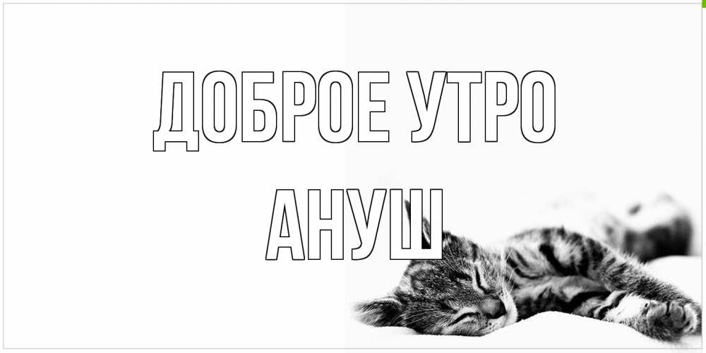 Открытка на каждый день с именем, Ануш Доброе утро котуся Прикольная открытка с пожеланием онлайн скачать бесплатно 