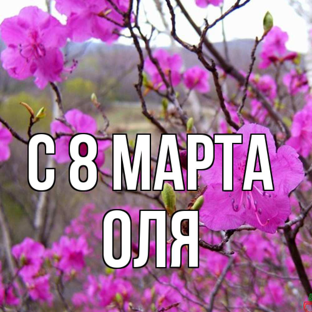 Открытка на каждый день с именем, Оля C 8 МАРТА международный женский день Прикольная открытка с пожеланием онлайн скачать бесплатно 