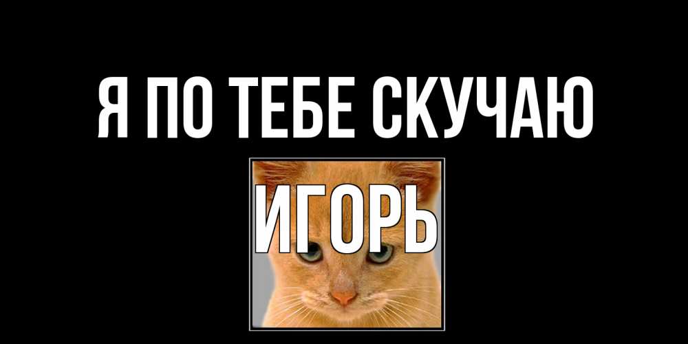 Открытка на каждый день с именем, Игорь Я по тебе скучаю открытки рыжий котенок скучает по тебе Прикольная открытка с пожеланием онлайн скачать бесплатно 