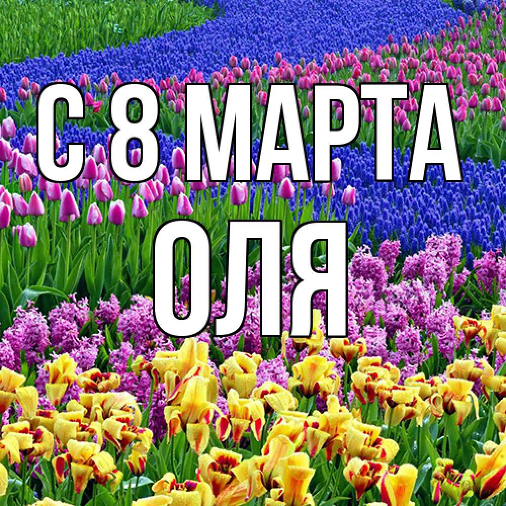Открытка на каждый день с именем, Оля C 8 МАРТА цветы Прикольная открытка с пожеланием онлайн скачать бесплатно 