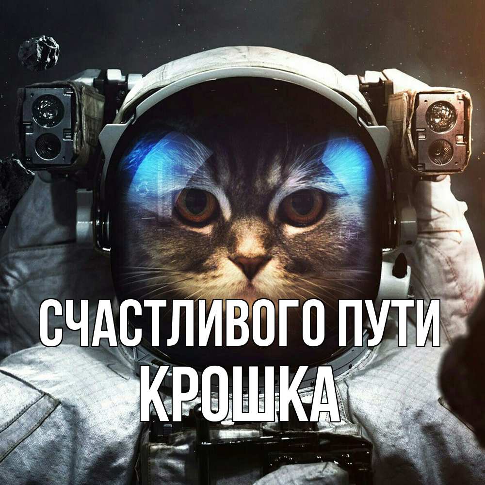 Открытка на каждый день с именем, Крошка Счастливого пути желает удачно добраться Прикольная открытка с пожеланием онлайн скачать бесплатно 