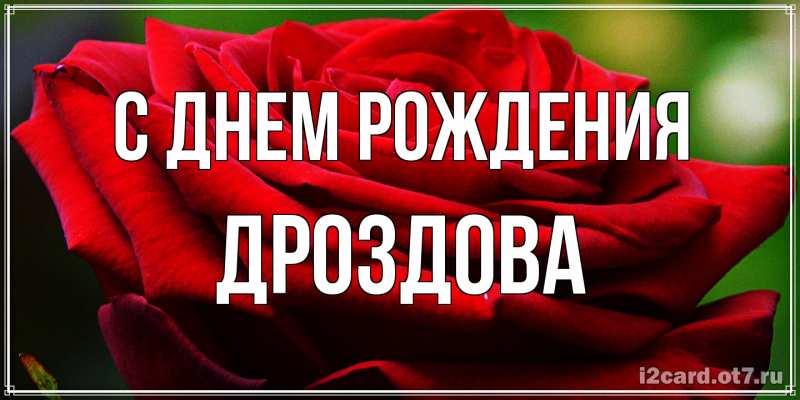 Картинка С днем рождения, Дроздова
