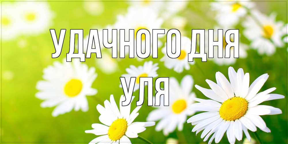 Открытка на каждый день с именем, Уля Удачного дня открытка с ромашками на зеленом фоне Прикольная открытка с пожеланием онлайн скачать бесплатно 