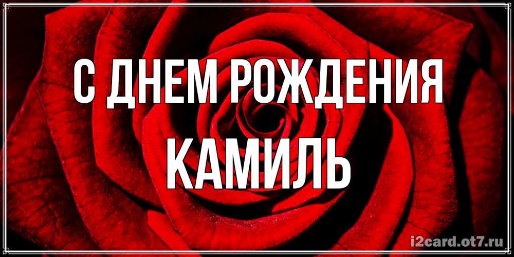 Открытка на каждый день с именем, Камиль С днем рождения алая роза Прикольная открытка с пожеланием онлайн скачать бесплатно 