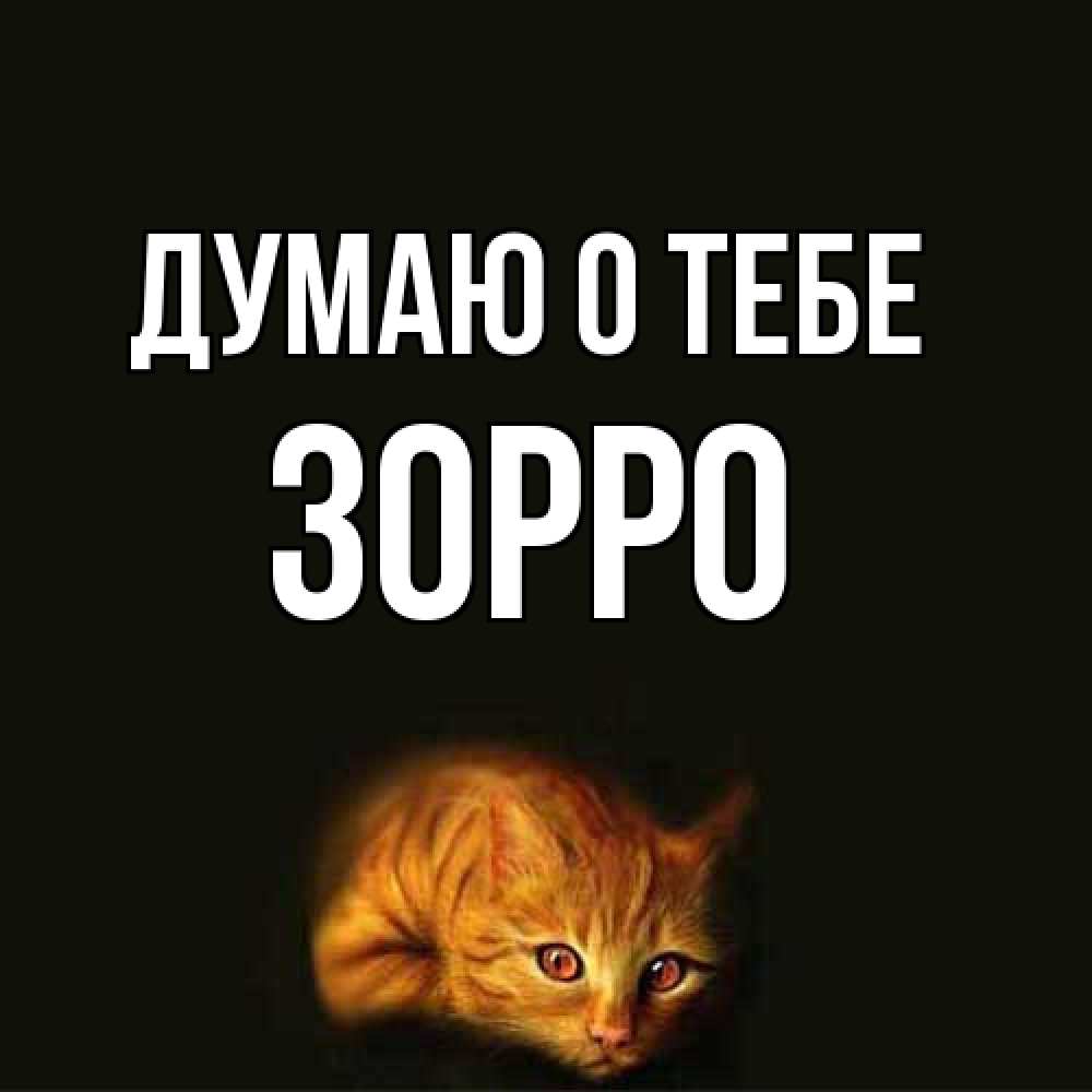 Открытка на каждый день с именем, Зорро Думаю о тебе рыжий Прикольная открытка с пожеланием онлайн скачать бесплатно 