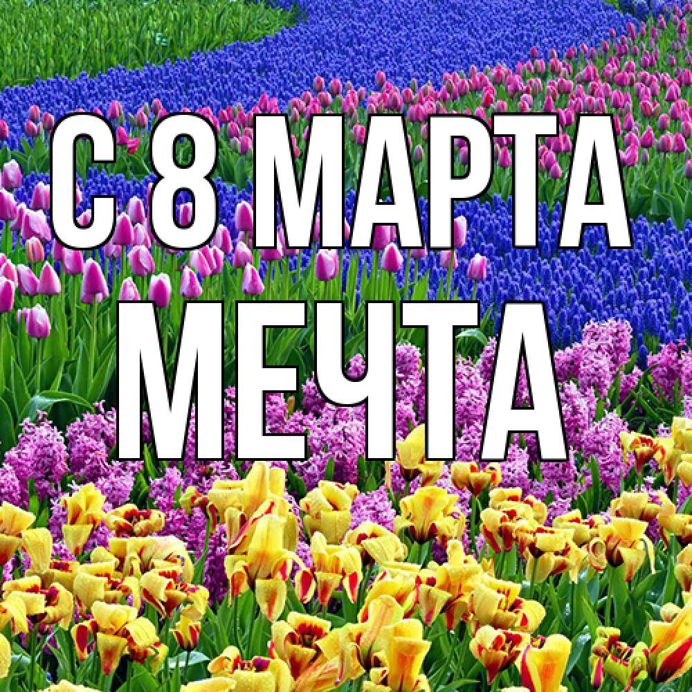 Открытка на каждый день с именем, мечта C 8 МАРТА цветы Прикольная открытка с пожеланием онлайн скачать бесплатно 