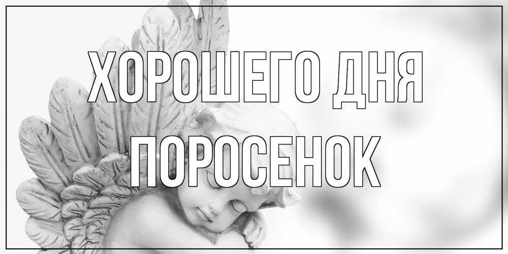 Открытка на каждый день с именем, Поросенок Хорошего дня открытка с ангелом на каждый день Прикольная открытка с пожеланием онлайн скачать бесплатно 