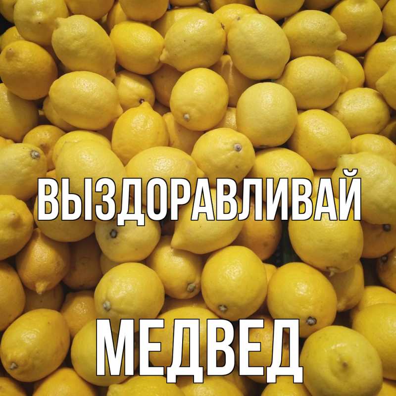 Картинка Выздоравливай, Медвед