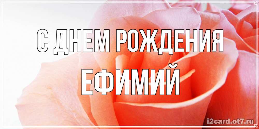 Открытка на каждый день с именем, Ефимий С днем рождения розы для поздравления с днем рождения Прикольная открытка с пожеланием онлайн скачать бесплатно 