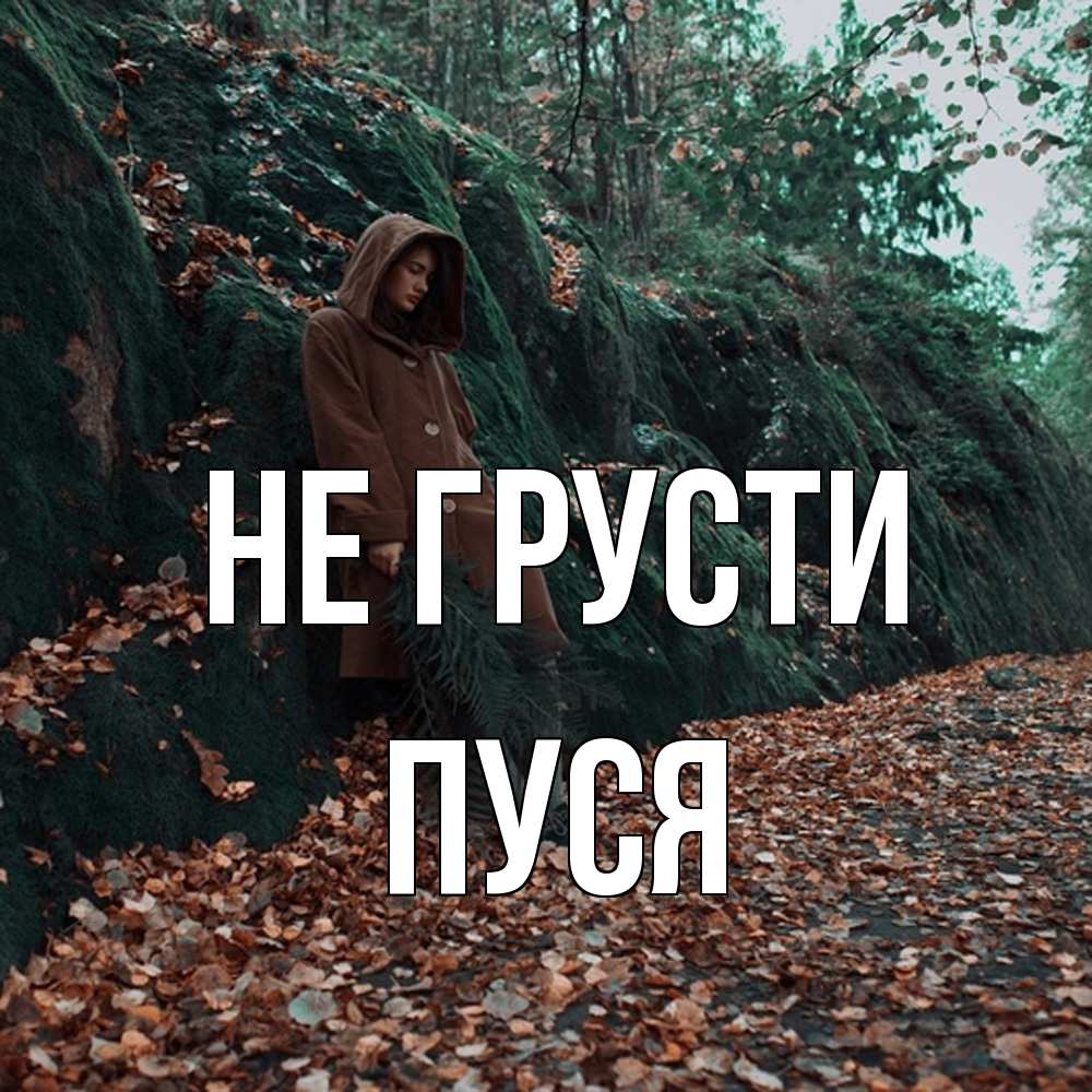 Открытка на каждый день с именем, Пуся Не грусти осенний лес Прикольная открытка с пожеланием онлайн скачать бесплатно 