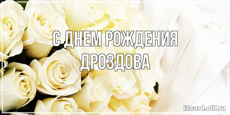 Картинка С днем рождения, Дроздова