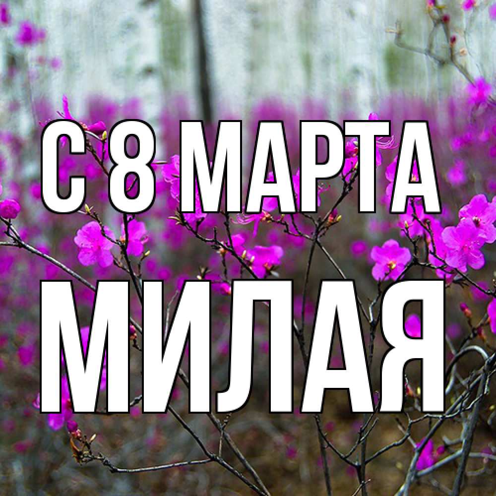 Открытка на каждый день с именем, Милая C 8 МАРТА дикие цветы Прикольная открытка с пожеланием онлайн скачать бесплатно 
