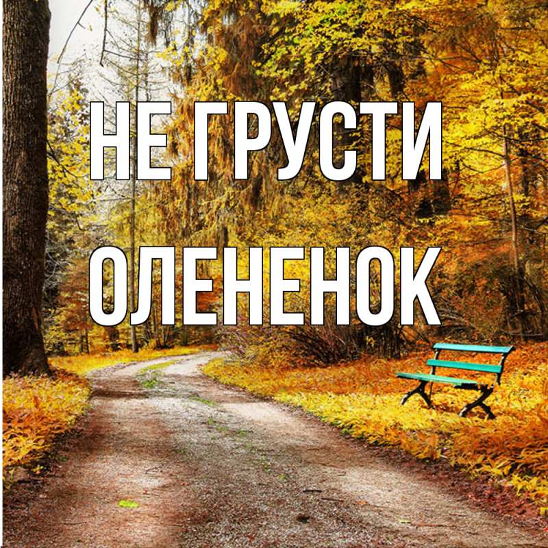 Картинка Не грусти, Олененок