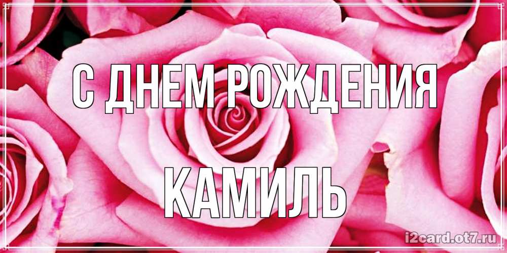 Открытка на каждый день с именем, Камиль С днем рождения открытка с розовой розой на день рождения Прикольная открытка с пожеланием онлайн скачать бесплатно 
