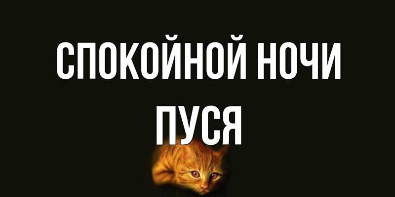 Открытка с именем, Пуся, Спокойной ночи