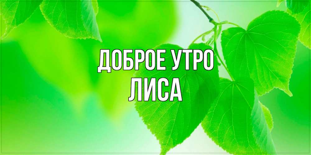 Открытка на каждый день с именем, лиса Доброе утро доброе утро с березовыми листьями Прикольная открытка с пожеланием онлайн скачать бесплатно 