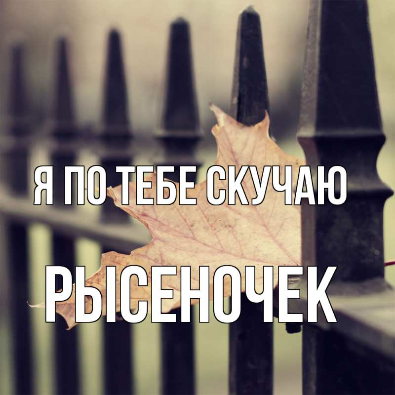 Картинка Я по тебе скучаю, Рысеночек