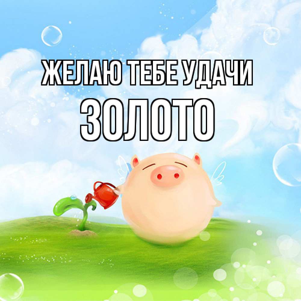 Открытка на каждый день с именем, Золото Желаю тебе удачи поросенок поливает цветок. летнее настроение Прикольная открытка с пожеланием онлайн скачать бесплатно 