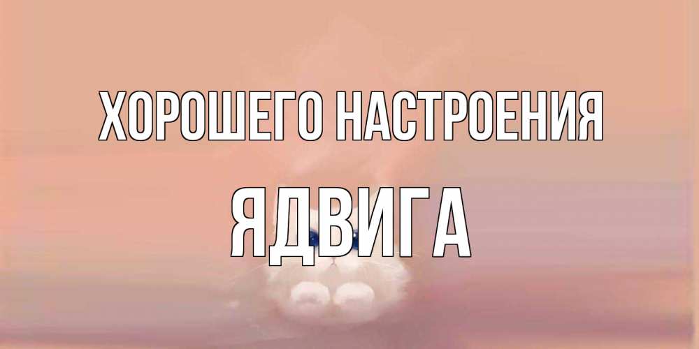 Открытка на каждый день с именем, Ядвига Хорошего настроения кошка Прикольная открытка с пожеланием онлайн скачать бесплатно 