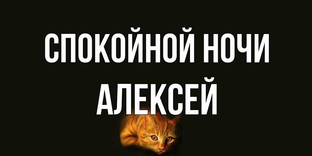 Открытка на каждый день с именем, Алексей Спокойной ночи кот Прикольная открытка с пожеланием онлайн скачать бесплатно 