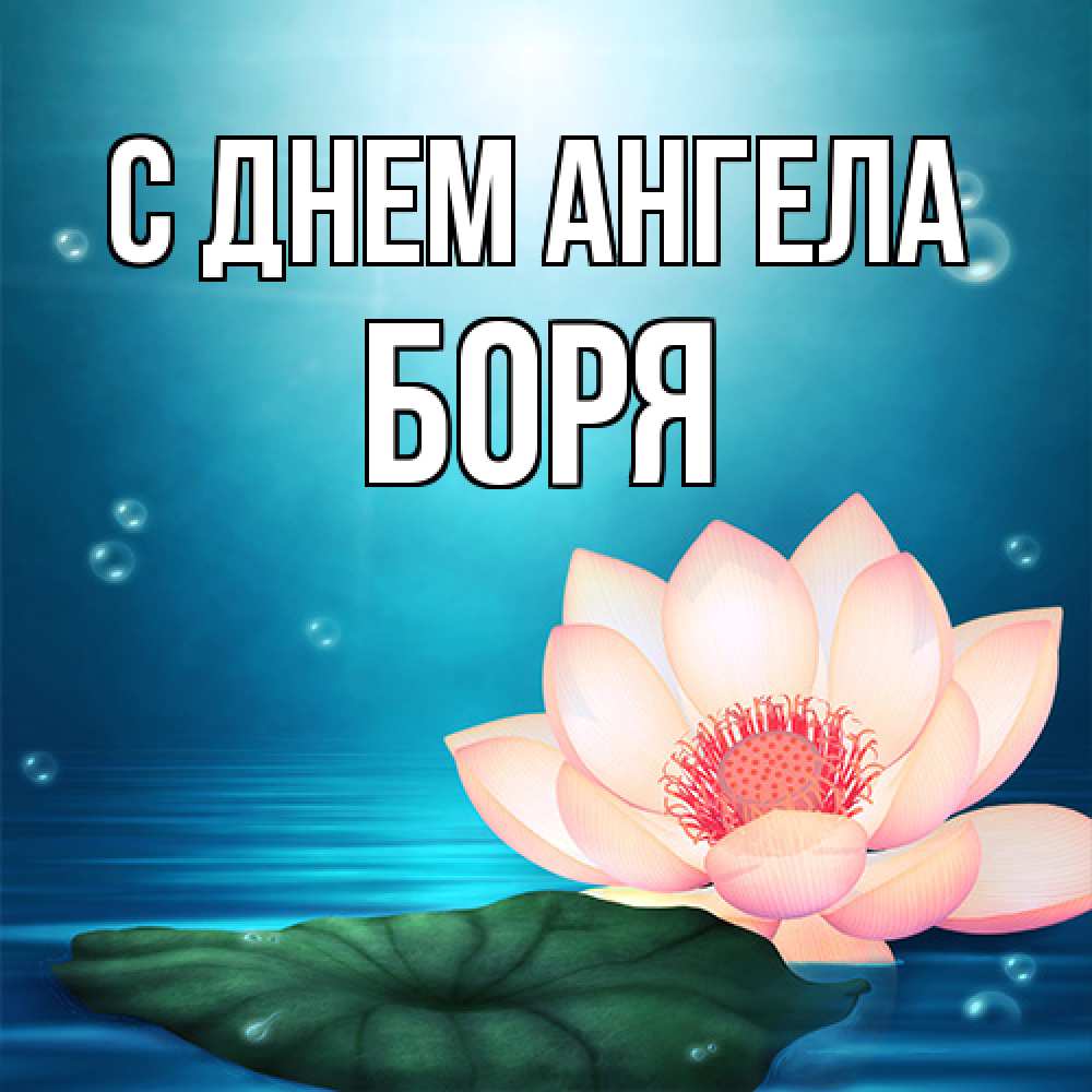 Открытка на каждый день с именем, Боря С днем ангела кувшинка Прикольная открытка с пожеланием онлайн скачать бесплатно 