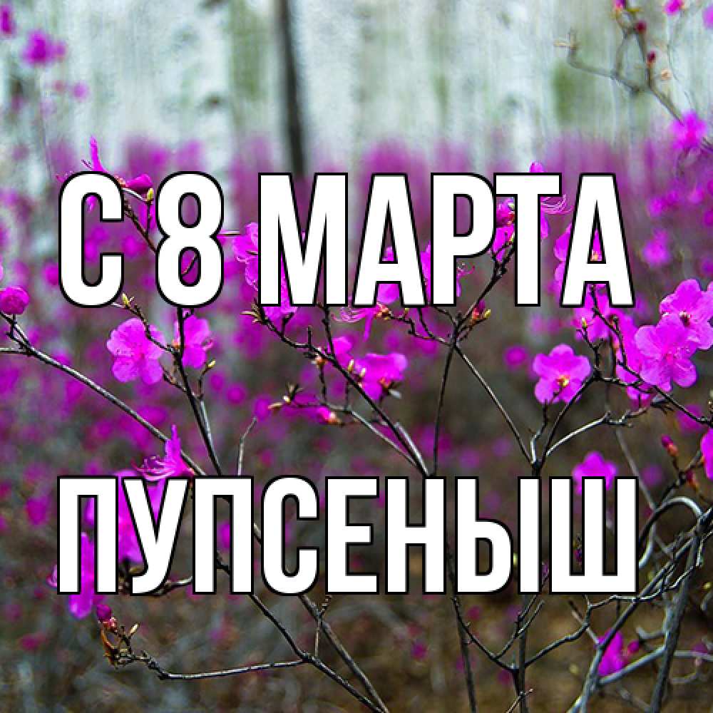 Открытка на каждый день с именем, пупсеныш C 8 МАРТА дикие цветы Прикольная открытка с пожеланием онлайн скачать бесплатно 