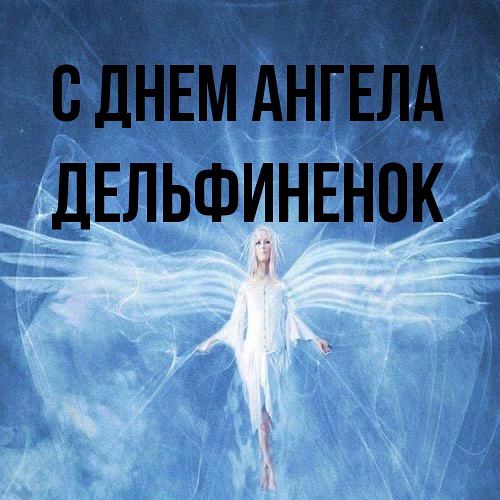Открытка на каждый день с именем, дельфиненок С днем ангела голубой фон и крылья как у стрекозы Прикольная открытка с пожеланием онлайн скачать бесплатно 