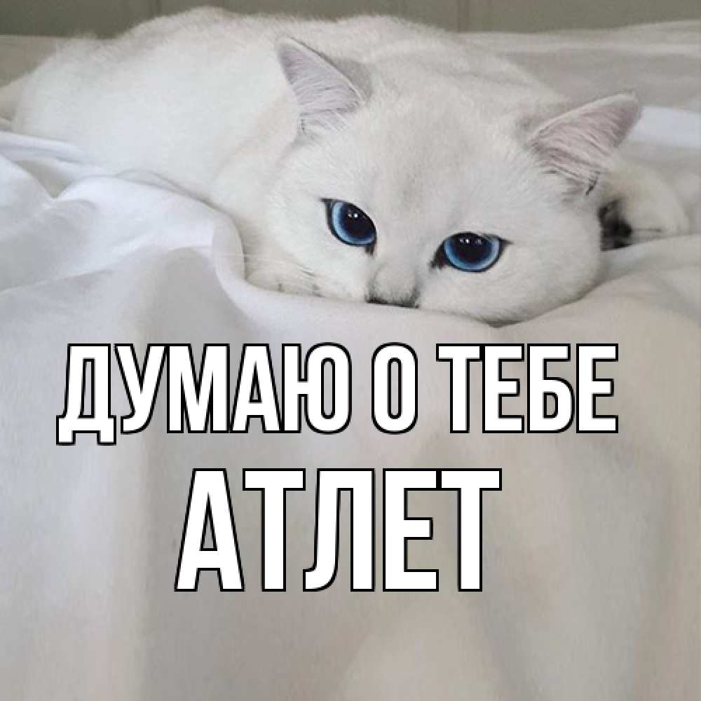 Открытка на каждый день с именем, Атлет Думаю о тебе я очень по тебе скучаю и тоскую Прикольная открытка с пожеланием онлайн скачать бесплатно 