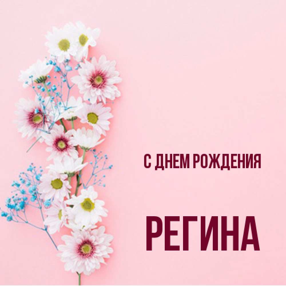 Открытка на каждый день с именем, Регина С днем рождения Родная моя с днем рождения тебя картинка с цветами белыми и голубыми Прикольная открытка с пожеланием онлайн скачать бесплатно 