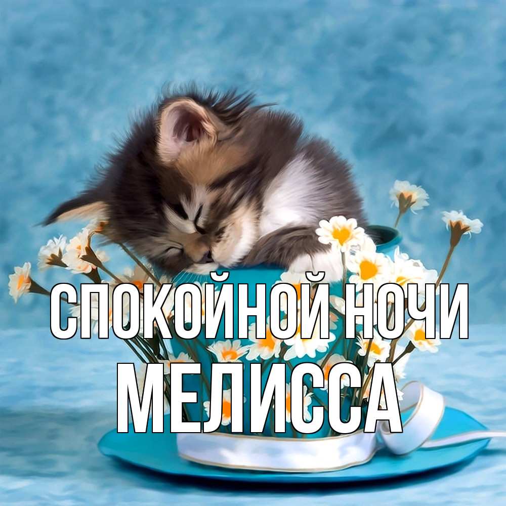 Открытка на каждый день с именем, Мелисса Спокойной ночи котенок спит в кружке с блюдцем Прикольная открытка с пожеланием онлайн скачать бесплатно 