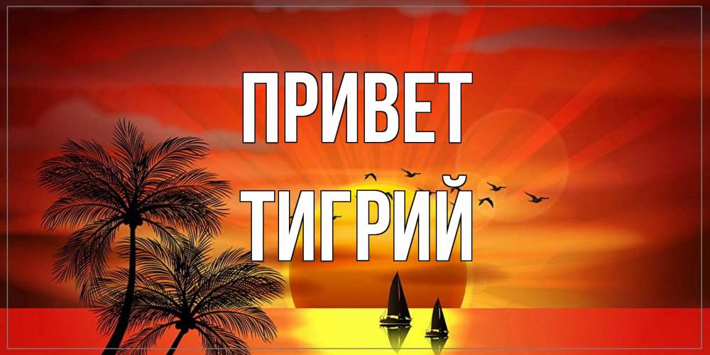 Открытка на каждый день с именем, Тигрий Привет привет Прикольная открытка с пожеланием онлайн скачать бесплатно 