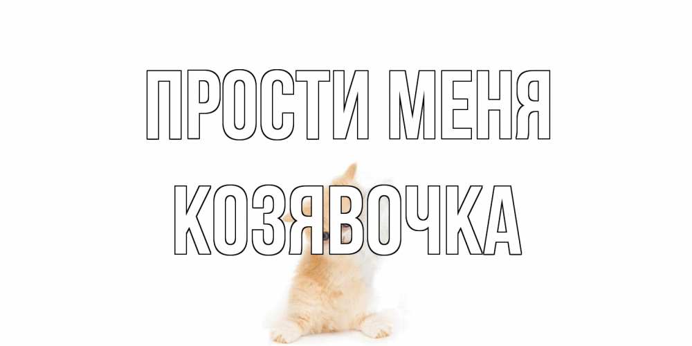Открытка на каждый день с именем, Козявочка Прости меня кот Прикольная открытка с пожеланием онлайн скачать бесплатно 