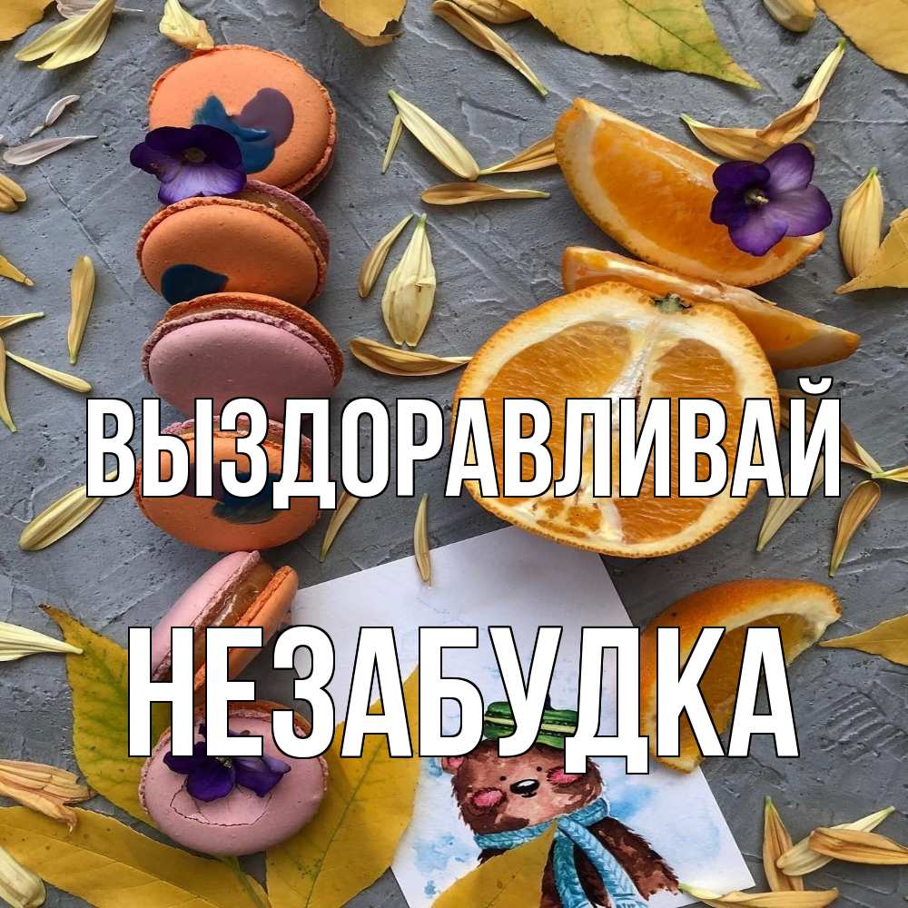 Открытка на каждый день с именем, Незабудка Выздоравливай не болейте Прикольная открытка с пожеланием онлайн скачать бесплатно 