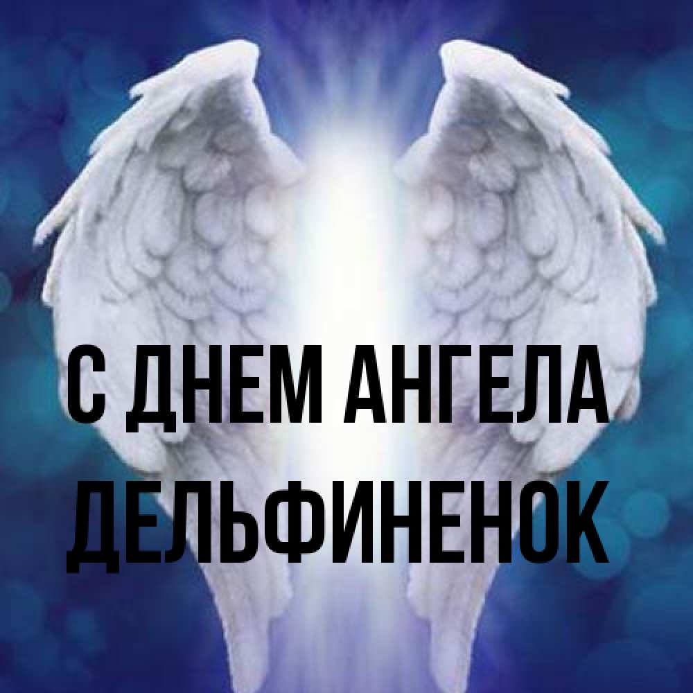 Открытка на каждый день с именем, дельфиненок С днем ангела синий фон и крылышки Прикольная открытка с пожеланием онлайн скачать бесплатно 