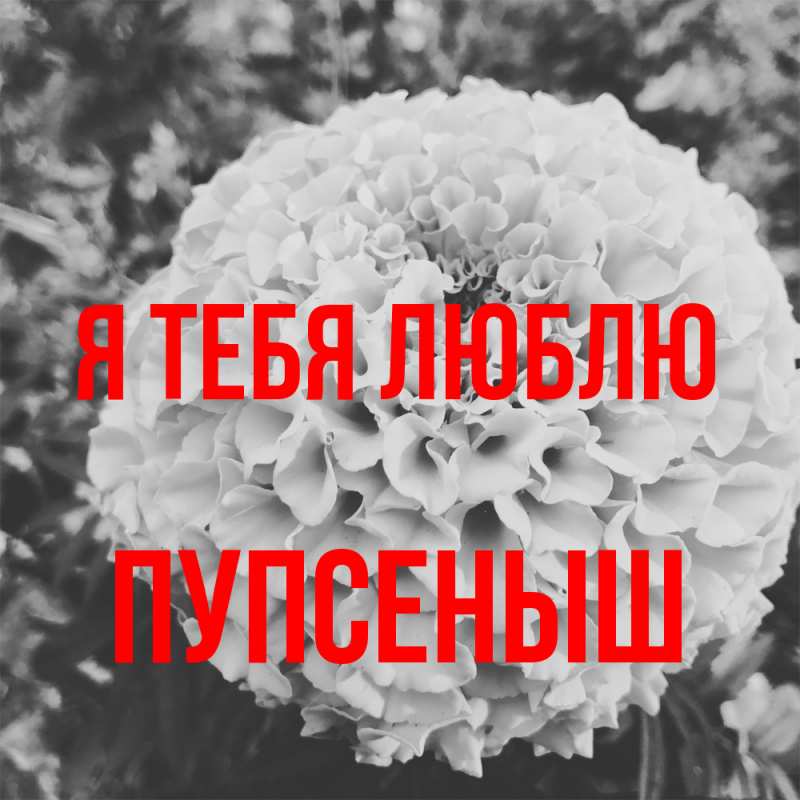 Картинка Я тебя люблю, пупсеныш